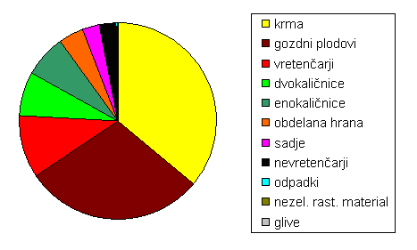 medved 3